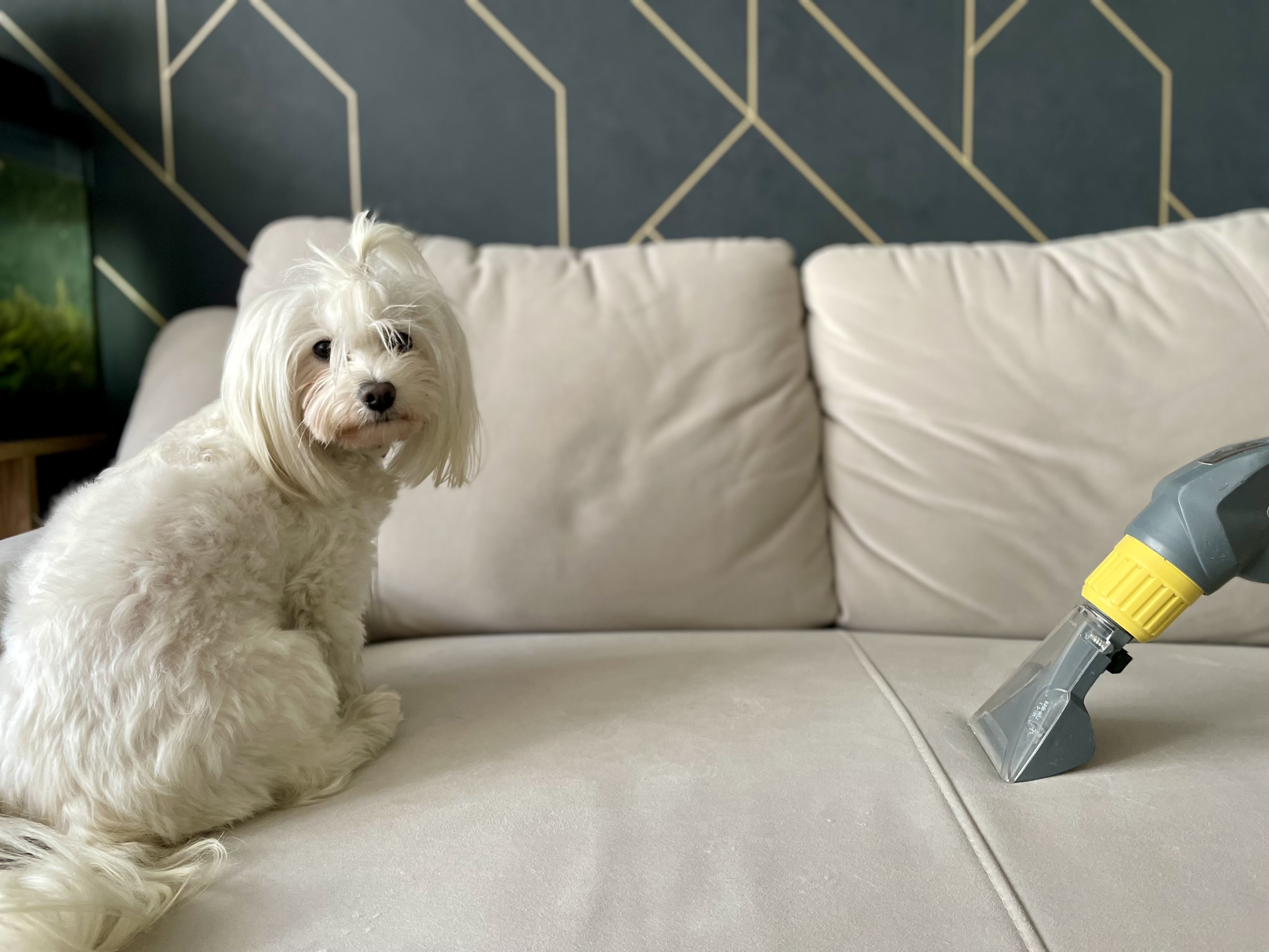 Pranie kanapy i narożnika